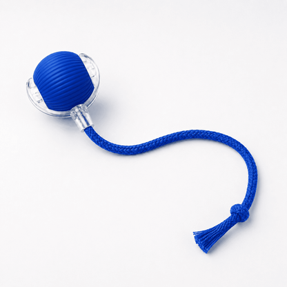 Smart Automatic Rolling Pet Toy
