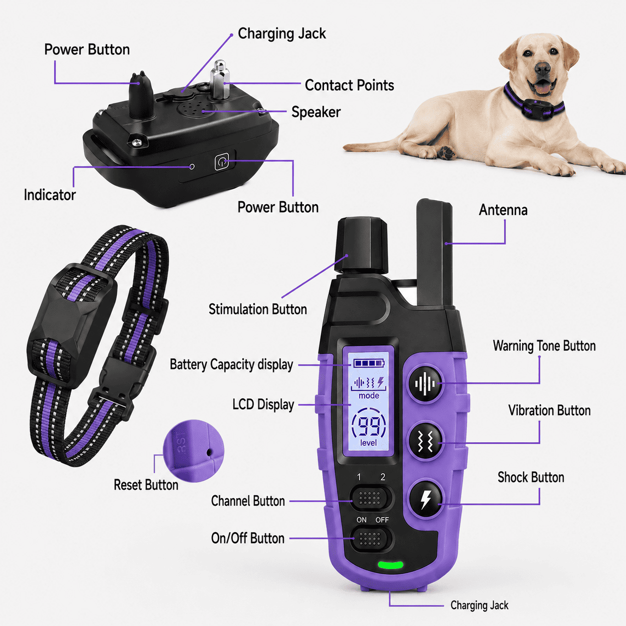 PCH™ Electric Dog Training Collar