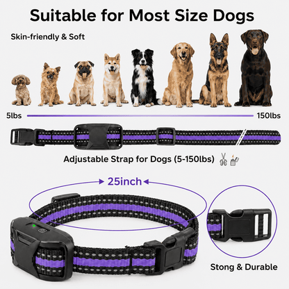 PCH™ Electric Dog Training Collar