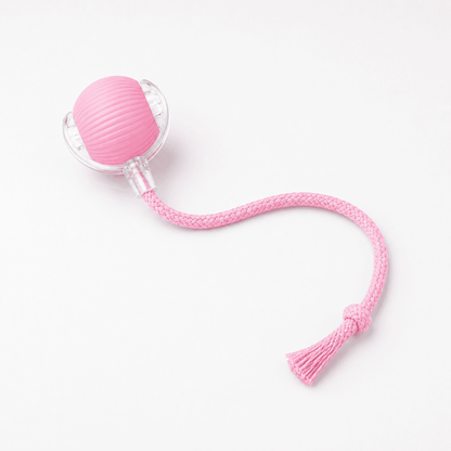 Smart Automatic Rolling Pet Toy