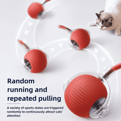 Smart Automatic Rolling Pet Toy