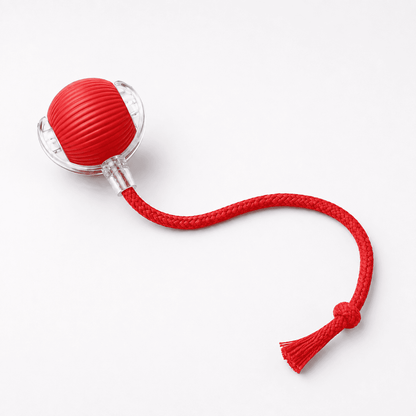 Smart Automatic Rolling Pet Toy