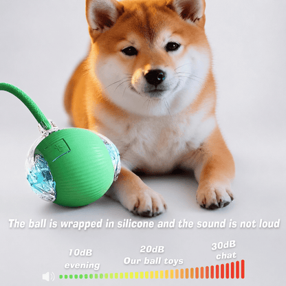 Smart Automatic Rolling Pet Toy