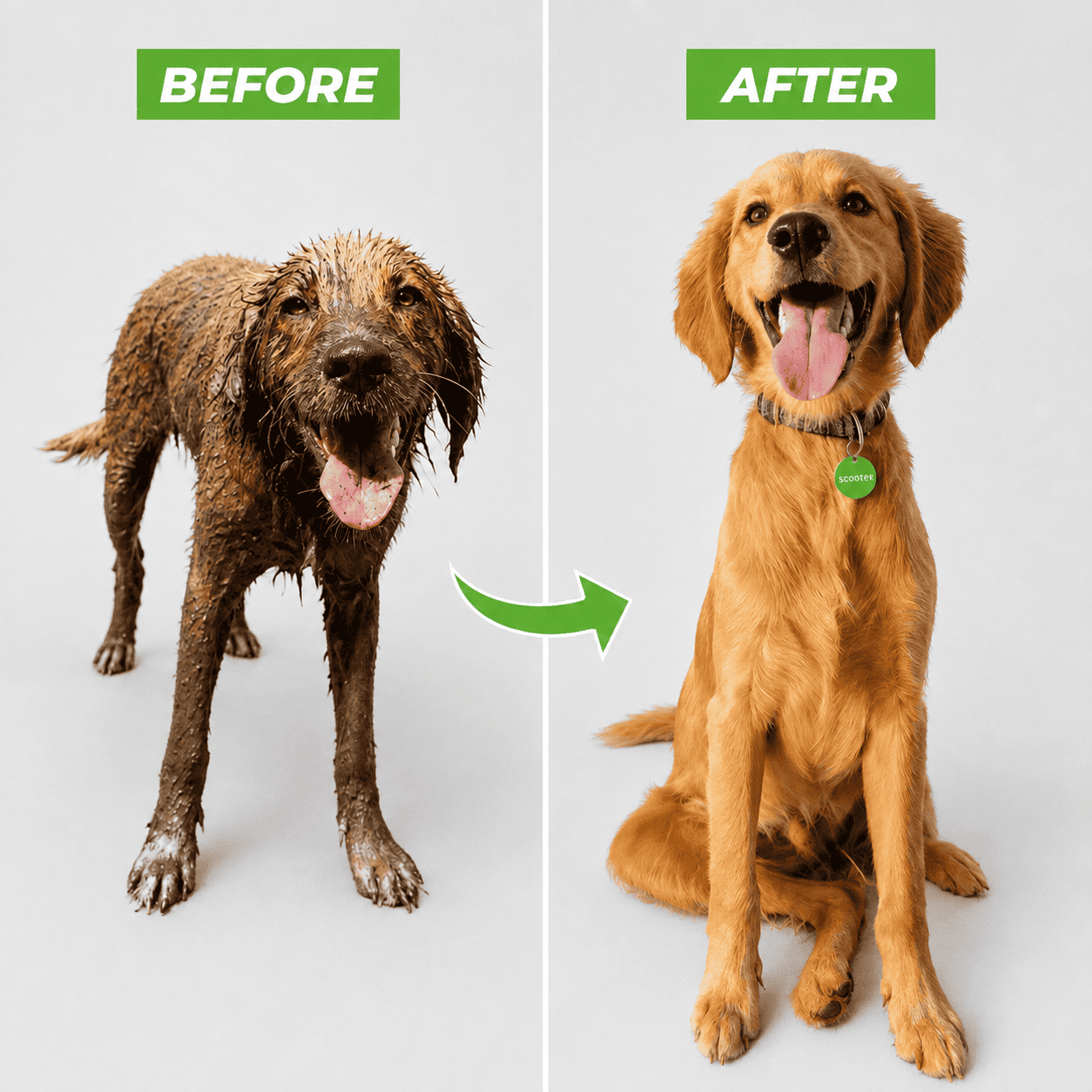 PCH™ High-pressure Sprayer dog shower Gun 3 Mode