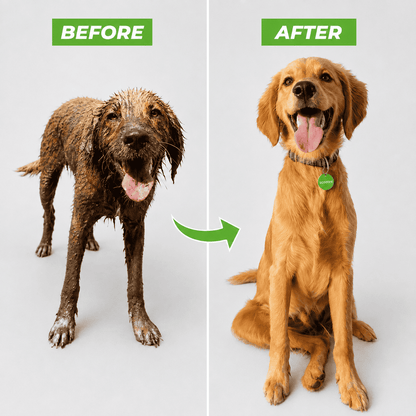 PCH™ High-pressure Sprayer dog shower Gun 3 Mode