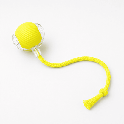 Smart Automatic Rolling Pet Toy