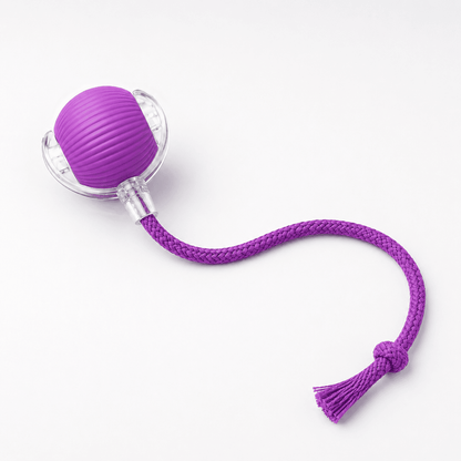 Smart Automatic Rolling Pet Toy