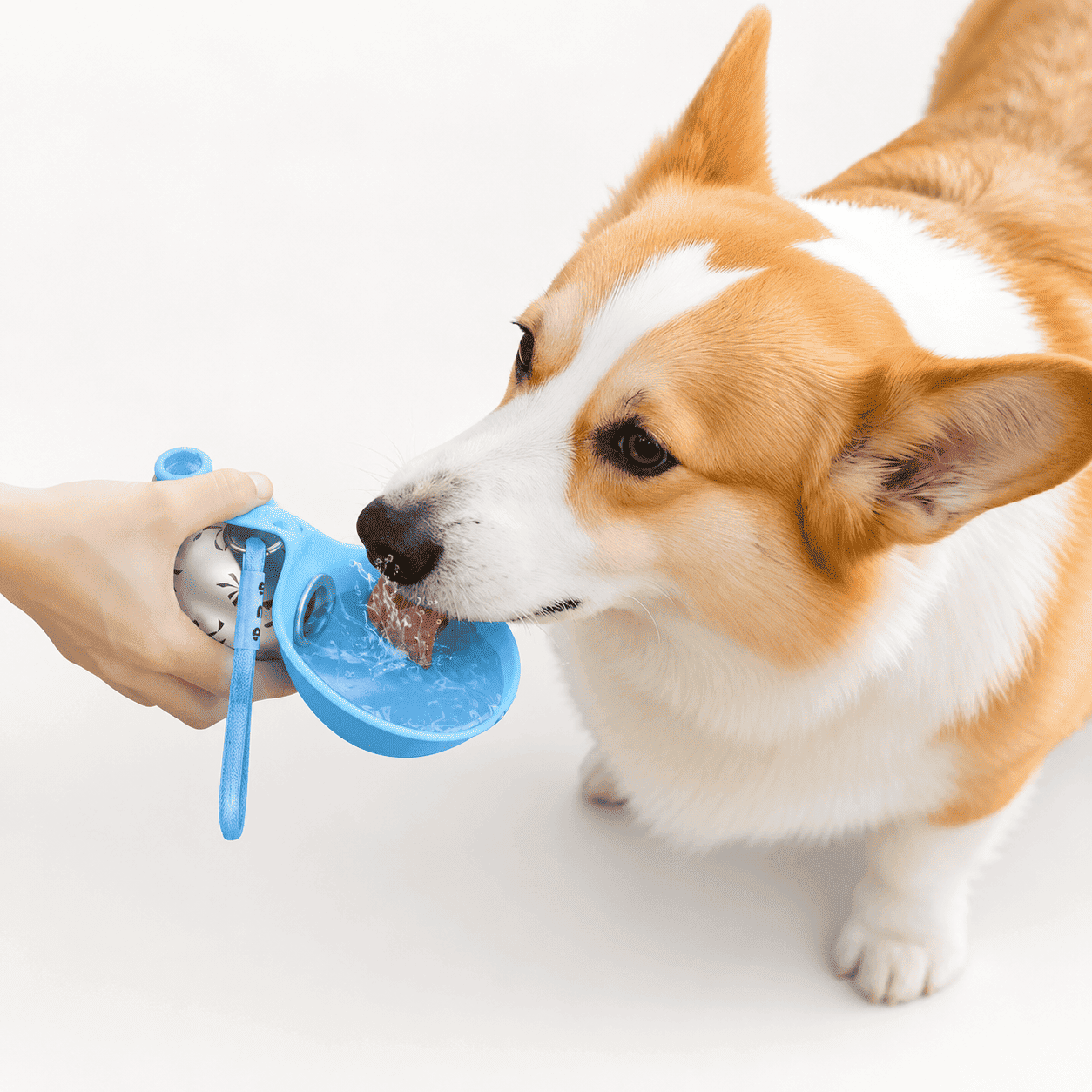 PCH™ 2-in-1 Portable Water Bottle for Small Dogs